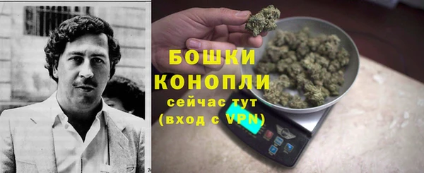 стафф Нефтекумск