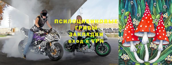 гашик Нея