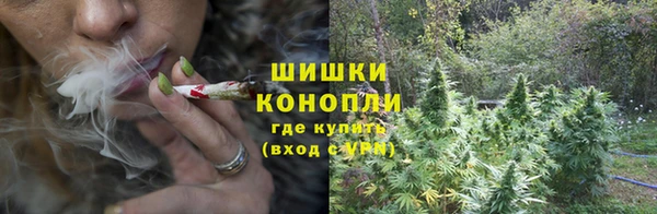стафф Нефтекумск