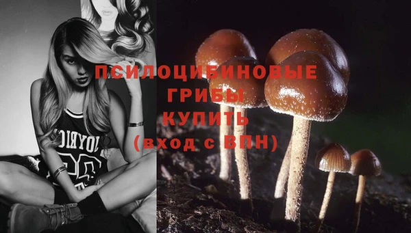 гашик Нея
