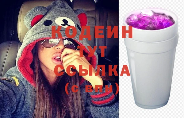 гашик Нея