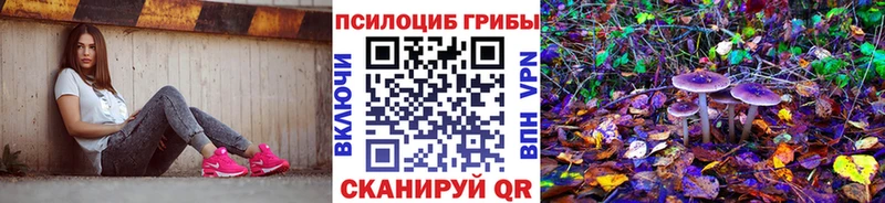 Псилоцибиновые грибы прущие грибы Купить Отрадное