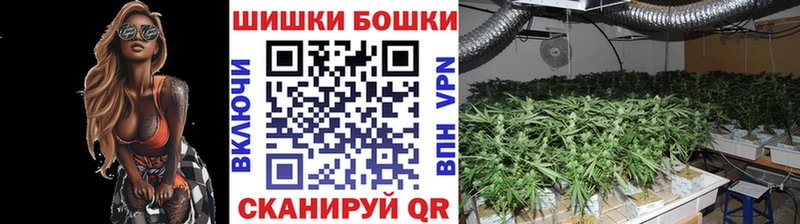 Бошки Шишки VHQ Отрадное
