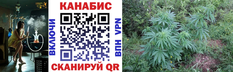 Шишки марихуана VHQ Купить закладки Отрадное